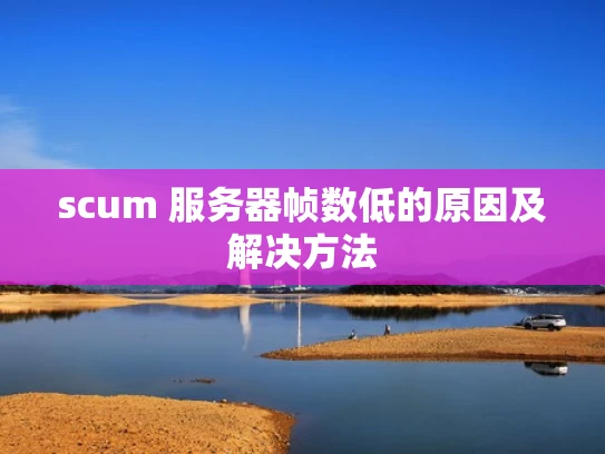 scum 服务器帧数低的原因及解决方法