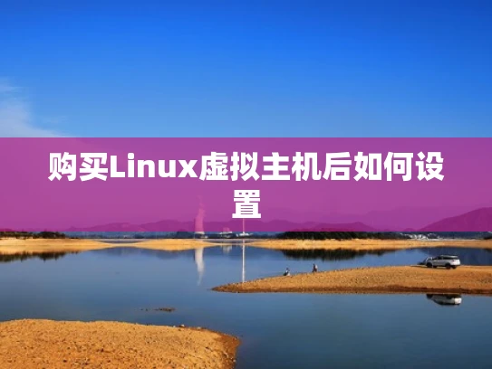 购买Linux虚拟主机后如何设置
