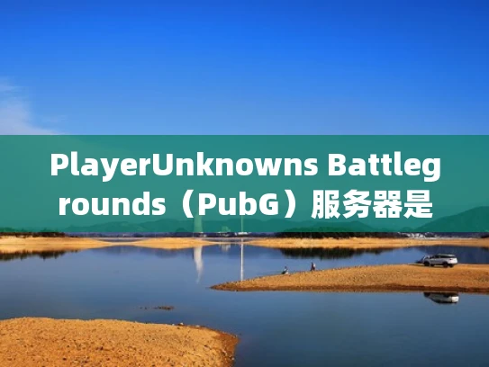 PlayerUnknowns Battlegrounds（PubG）服务器是什么？作用与影响解析