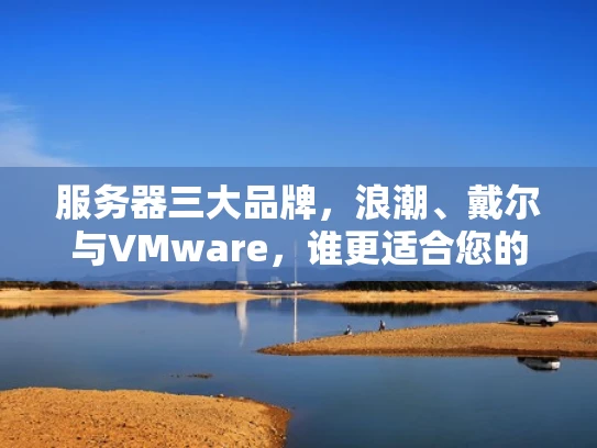 服务器三大品牌，浪潮、戴尔与VMware，谁更适合您的需求？