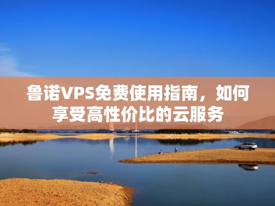 鲁诺VPS免费使用指南，如何享受高性价比的云服务
