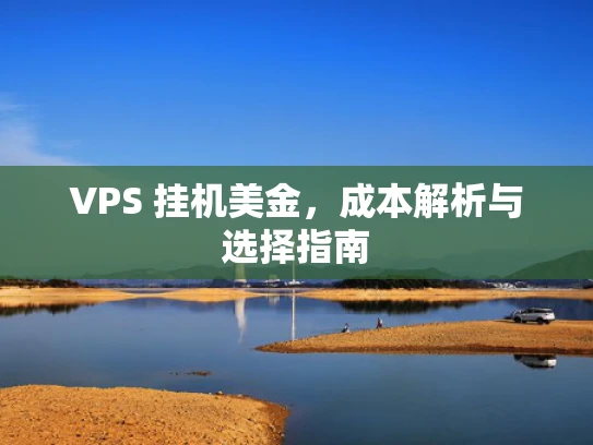 VPS 挂机美金，成本解析与选择指南