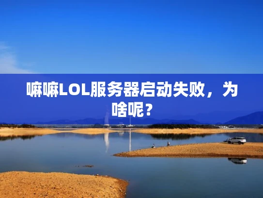 嘛嘛LOL服务器启动失败，为啥呢？