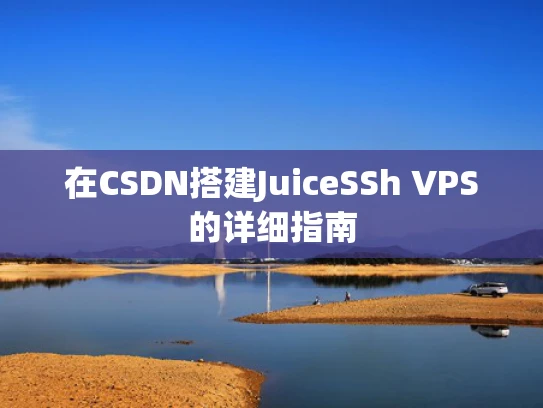 在CSDN搭建JuiceSSh VPS的详细指南