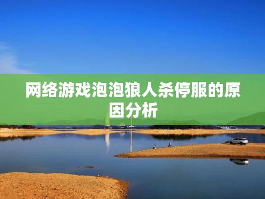 网络游戏泡泡狼人杀停服的原因分析