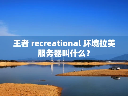 王者 recreational 环境拉美服务器叫什么？