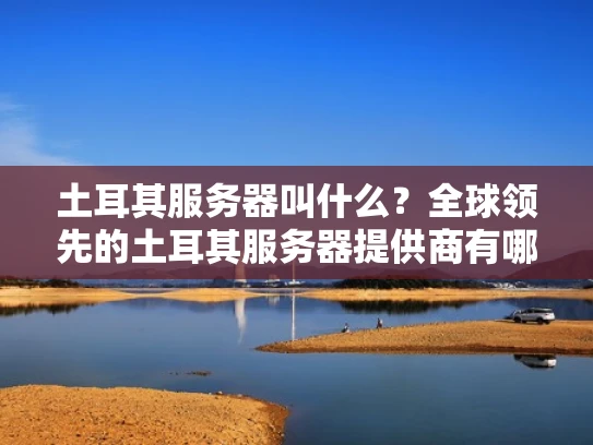 土耳其服务器叫什么？全球领先的土耳其服务器提供商有哪些？