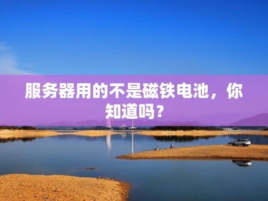 服务器用的不是磁铁电池，你知道吗？