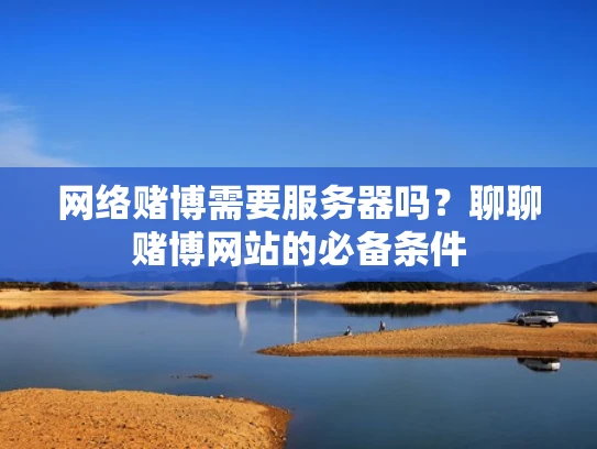 网络赌博需要服务器吗？聊聊赌博网站的必备条件