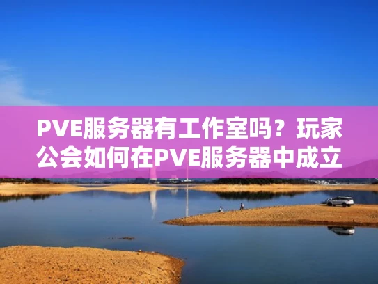 PVE服务器有工作室吗？玩家公会如何在PVE服务器中成立？