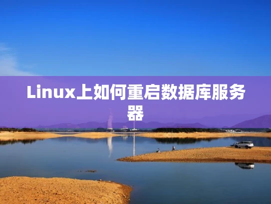 Linux上如何重启数据库服务器
