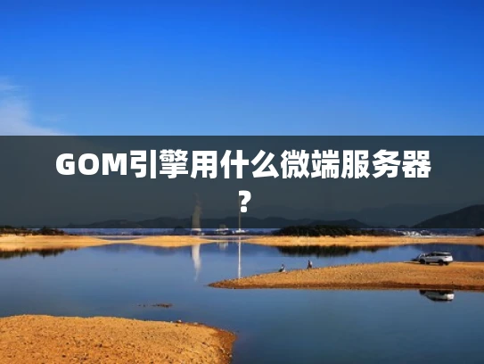 GOM引擎用什么微端服务器？