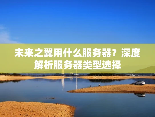 未来之翼用什么服务器？深度解析服务器类型选择
