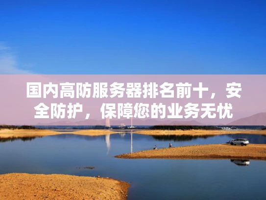 国内高防服务器排名前十，安全防护，保障您的业务无忧