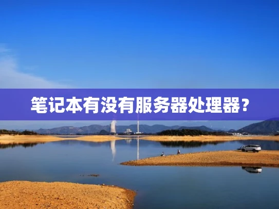 笔记本有没有服务器处理器？