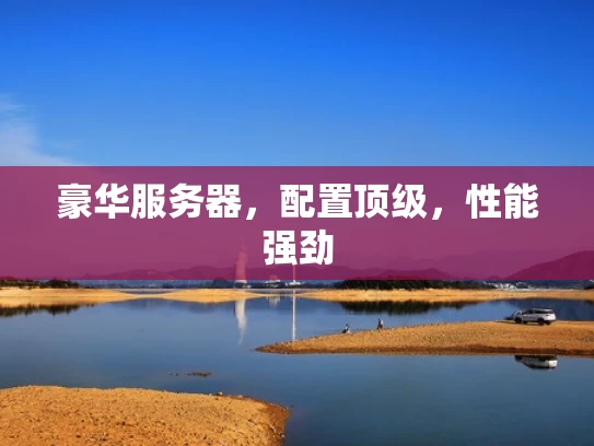 豪华服务器，配置顶级，性能强劲