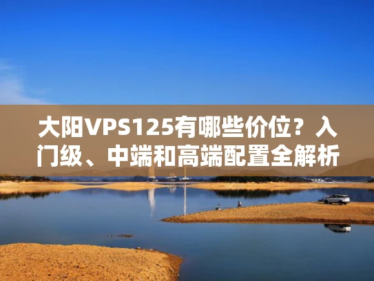 大阳VPS125有哪些价位？入门级、中端和高端配置全解析