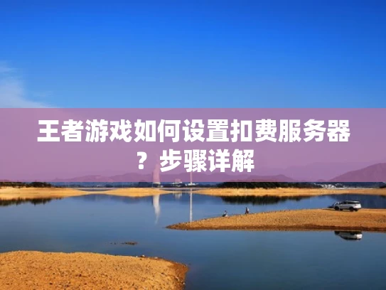 王者游戏如何设置扣费服务器？步骤详解