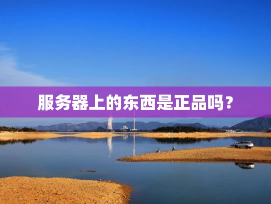 服务器上的东西是正品吗？