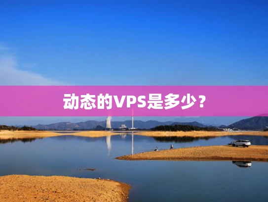 动态的VPS是多少？