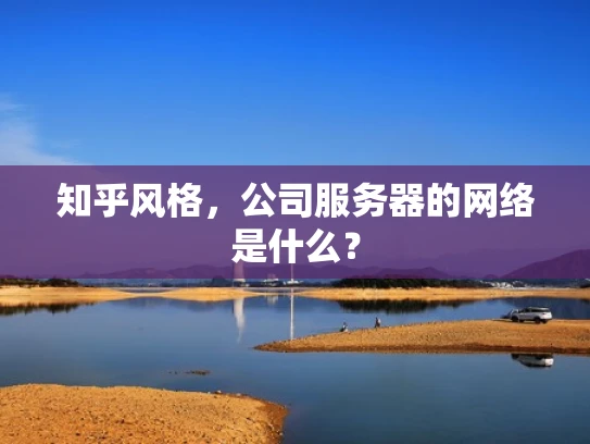 知乎风格，公司服务器的网络是什么？