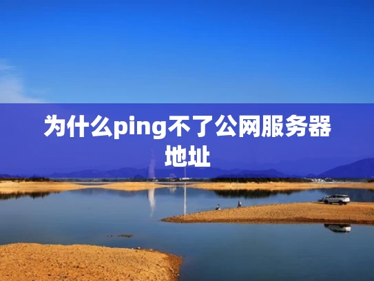 为什么ping不了公网服务器地址