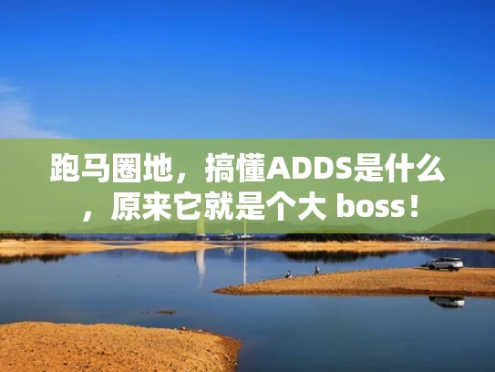 跑马圈地，搞懂ADDS是什么，原来它就是个大 boss！
