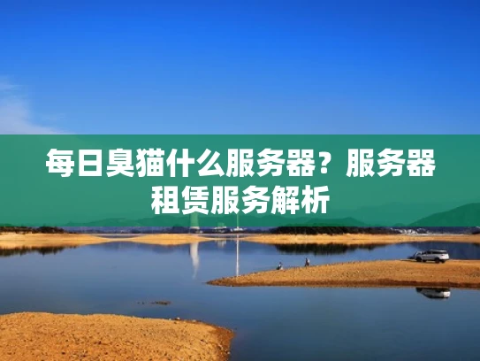 每日臭猫什么服务器？服务器租赁服务解析