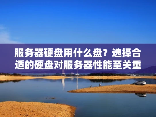 服务器硬盘用什么盘？选择合适的硬盘对服务器性能至关重要