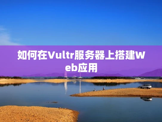 如何在Vultr服务器上搭建Web应用