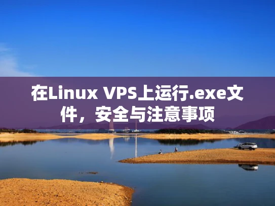 在Linux VPS上运行.exe文件，安全与注意事项