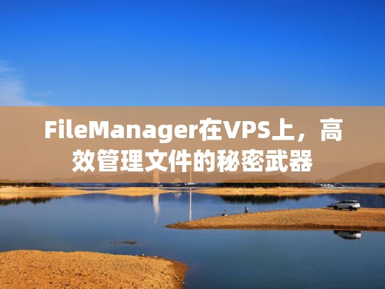 FileManager在VPS上，高效管理文件的秘密武器
