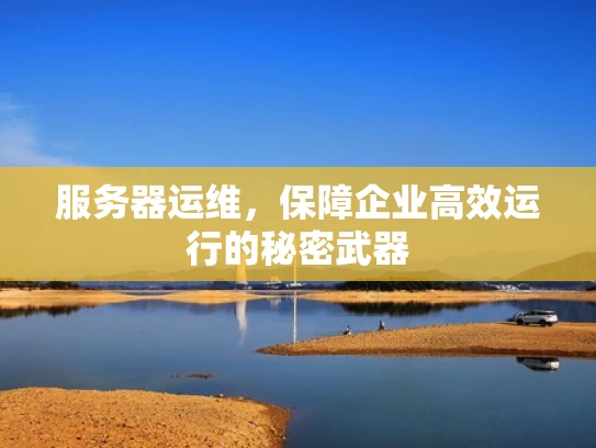 服务器运维，保障企业高效运行的秘密武器