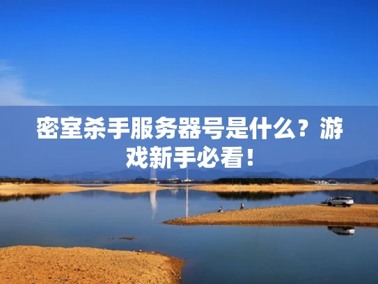 密室杀手服务器号是什么？游戏新手必看！
