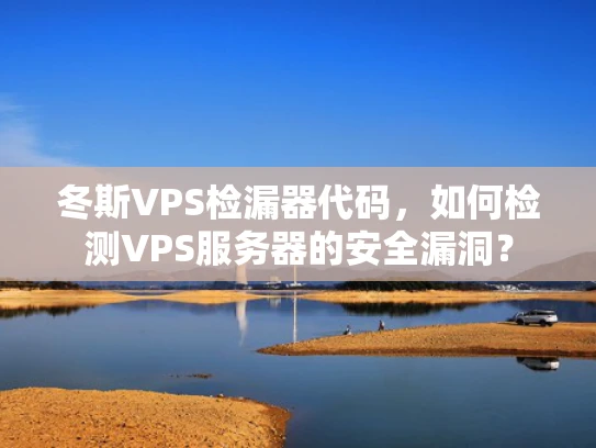 冬斯VPS检漏器代码，如何检测VPS服务器的安全漏洞？