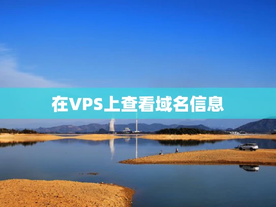 在VPS上查看域名信息
