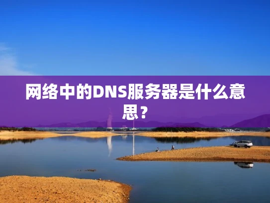网络中的DNS服务器是什么意思？