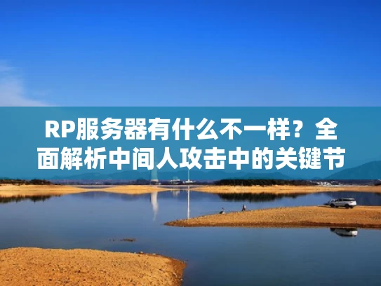 RP服务器有什么不一样？全面解析中间人攻击中的关键节点