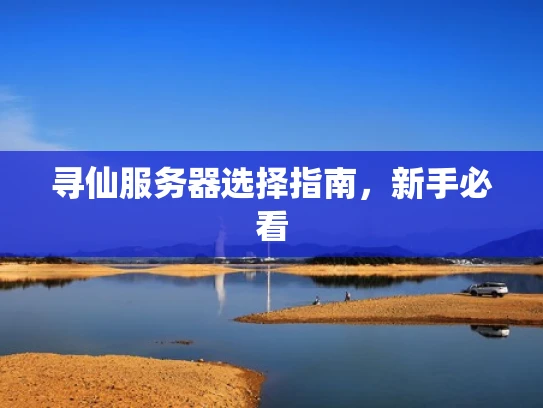 寻仙服务器选择指南，新手必看