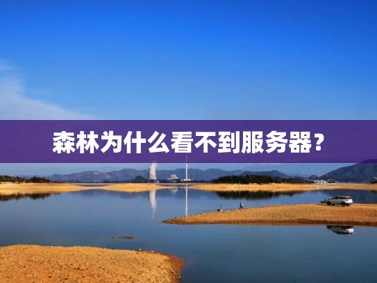 森林为什么看不到服务器？