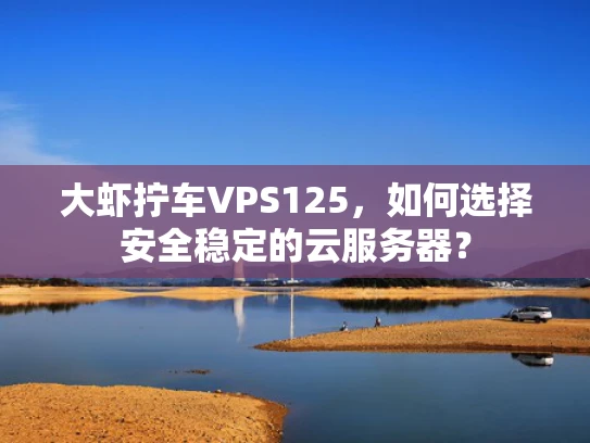 大虾拧车VPS125，如何选择安全稳定的云服务器？