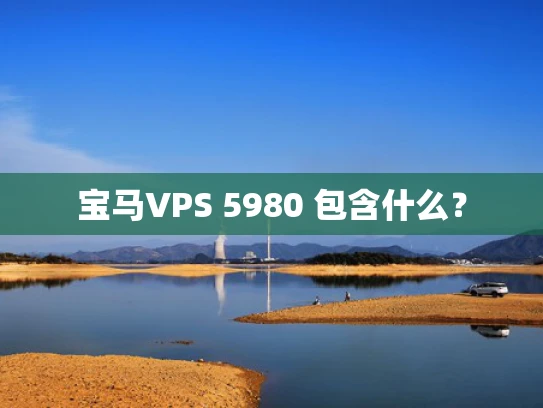 宝马VPS 5980 包含什么？