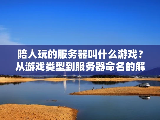 陪人玩的服务器叫什么游戏？从游戏类型到服务器命名的解析