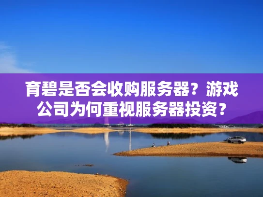 育碧是否会收购服务器？游戏公司为何重视服务器投资？