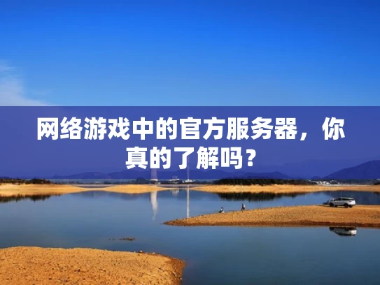 网络游戏中的官方服务器，你真的了解吗？