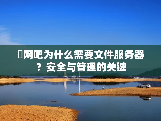 �网吧为什么需要文件服务器？安全与管理的关键