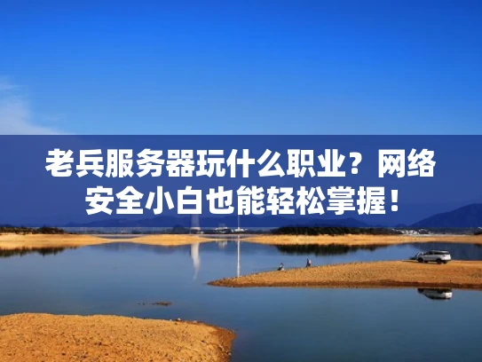 老兵服务器玩什么职业？网络安全小白也能轻松掌握！