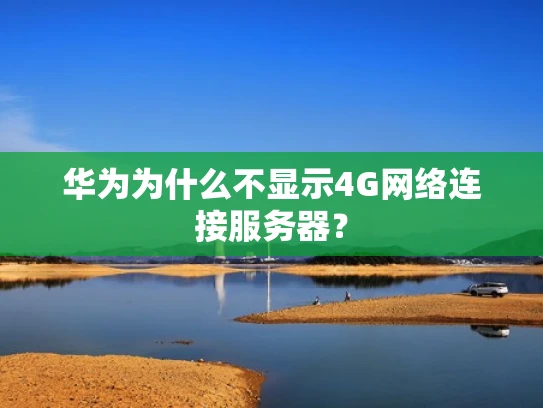 华为为什么不显示4G网络连接服务器？