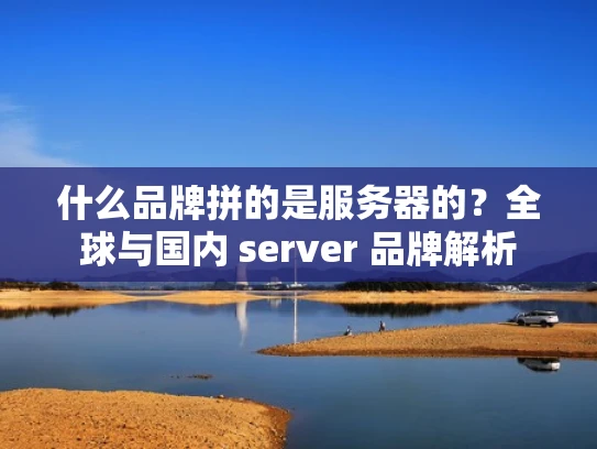 什么品牌拼的是服务器的？全球与国内 server 品牌解析