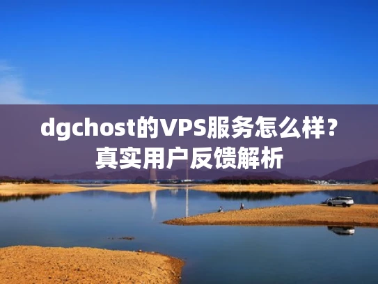 dgchost的VPS服务怎么样？真实用户反馈解析